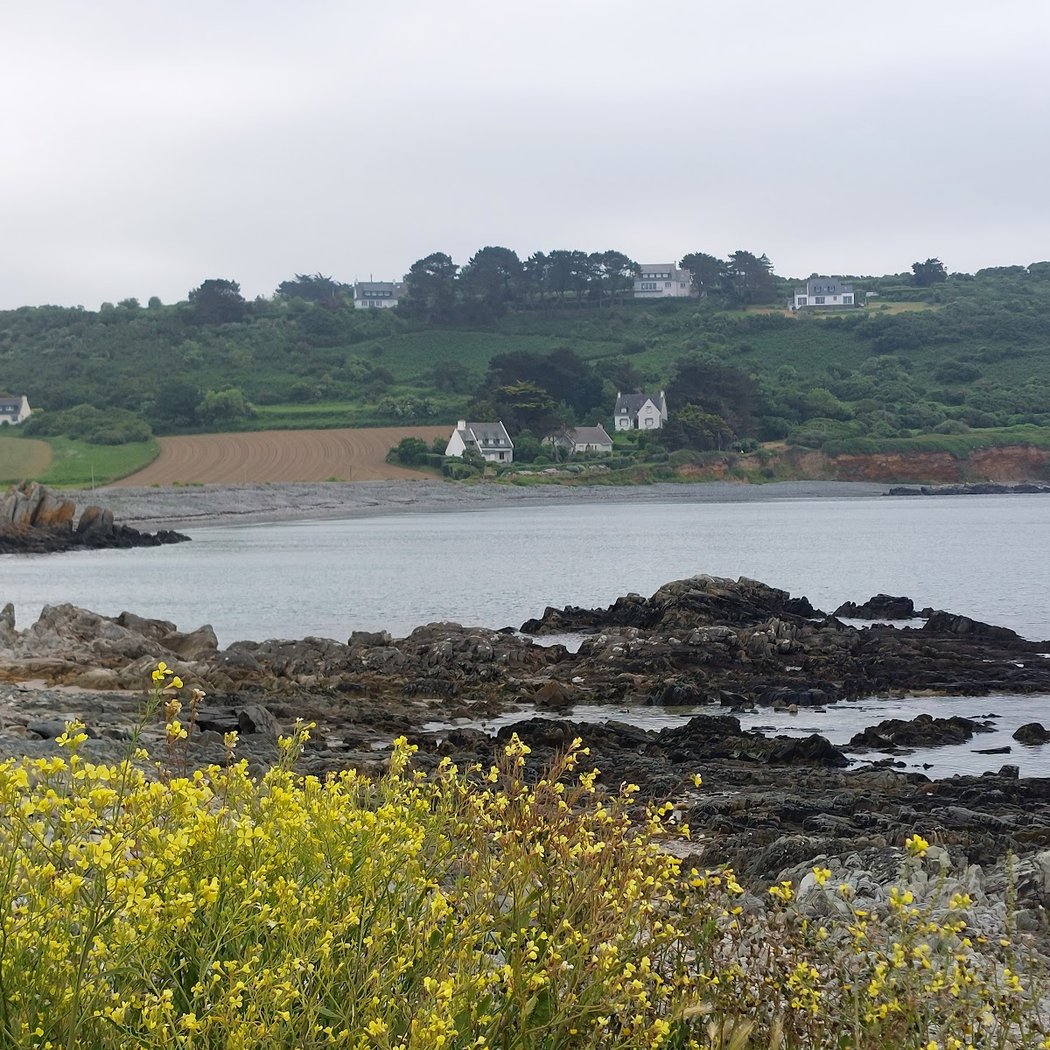 Moules de Locquemeau 3