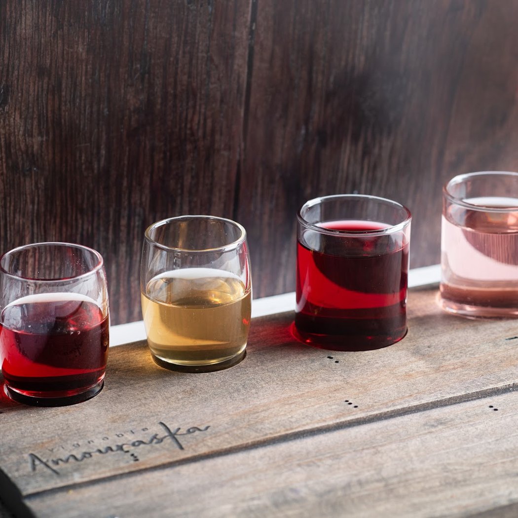 Vignoble Amouraska / Bistro terrasse / Dégustation et Apéro 3