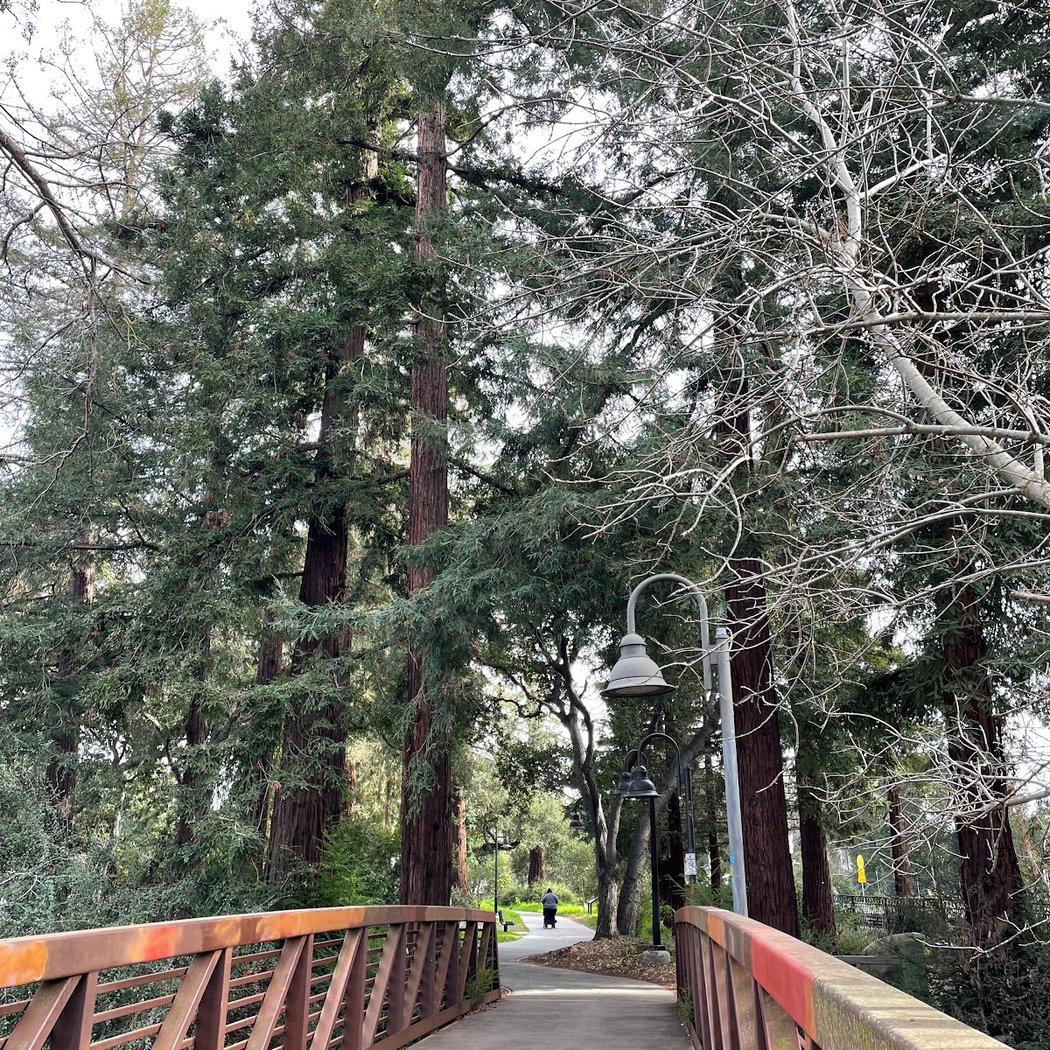 El Palo Alto Park 1