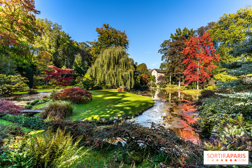 Domaine de Courances 3