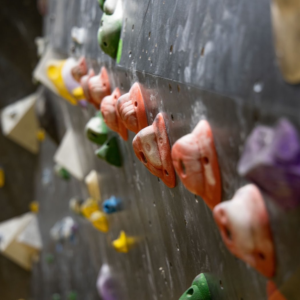 Ateliers encadrés pour les enfants 4