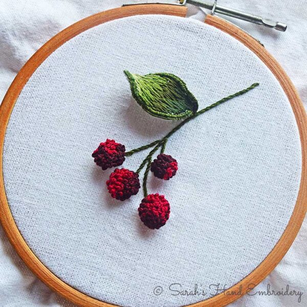 Hand Embroidery Group Class Level 0: Embroidery Social 2