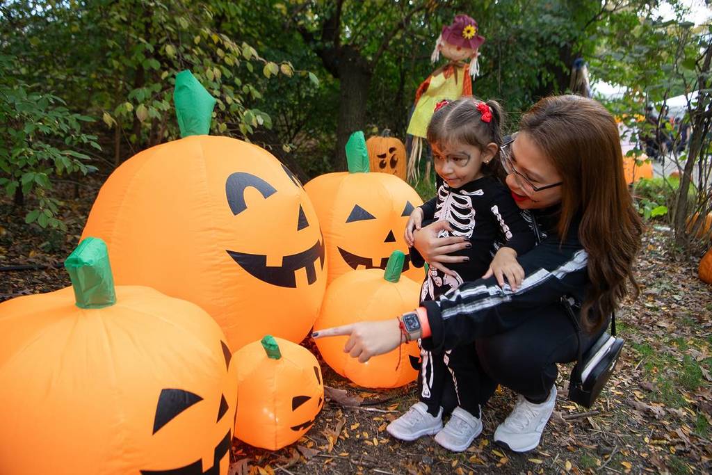 Boo at the Zoo 2