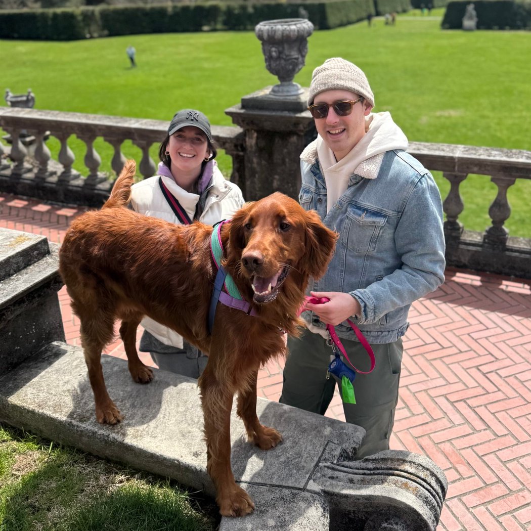 Spring Dog Days Weekend 2