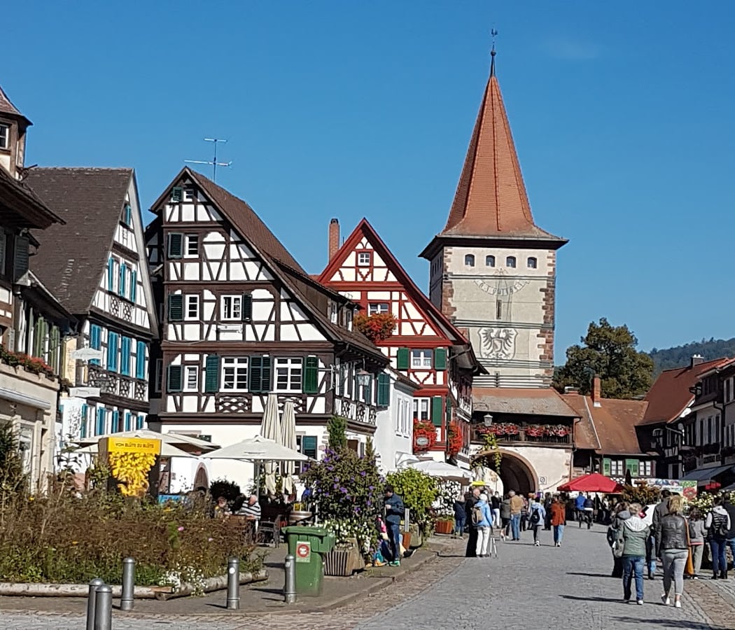 Black Forest 3