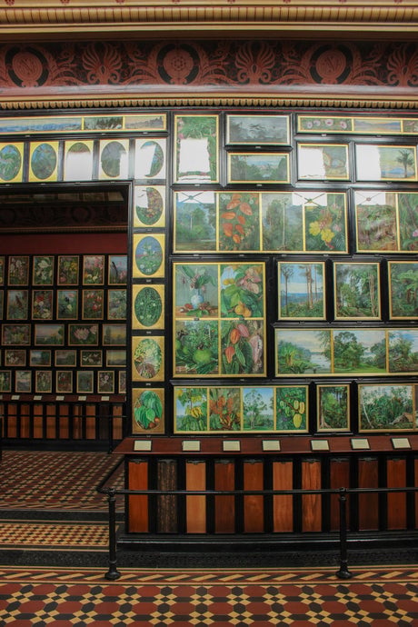 Marianne North Gallery 3