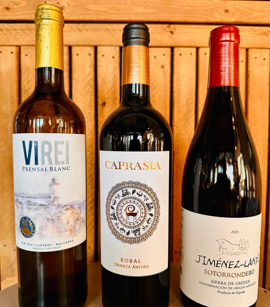 Wine Tasting Evening 2