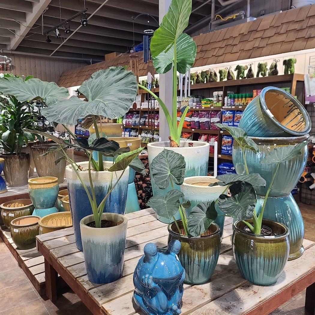SummerWinds Nursery 1