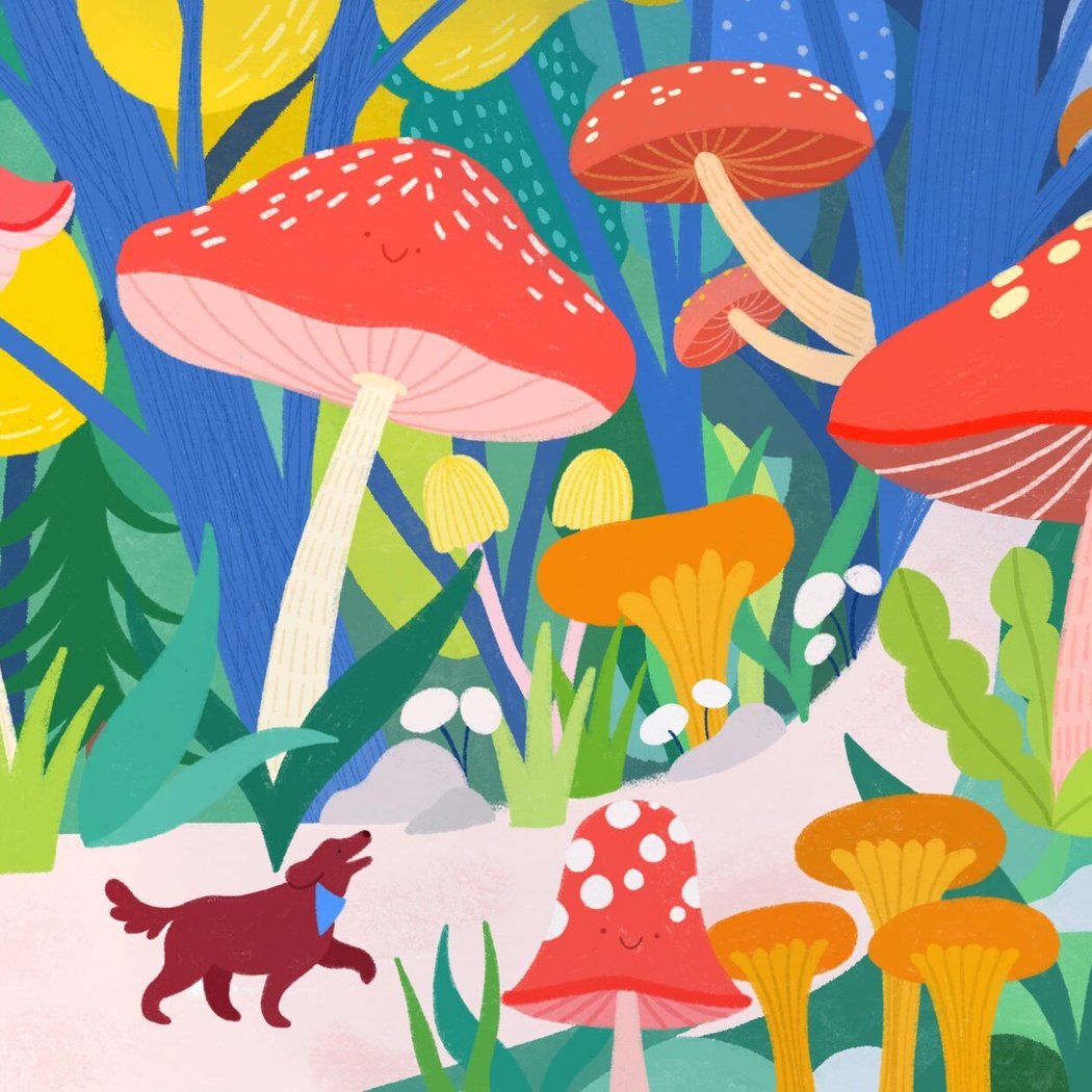 Launch and Signing Session with Lavilletlesnuages - Le GigAgenda 1