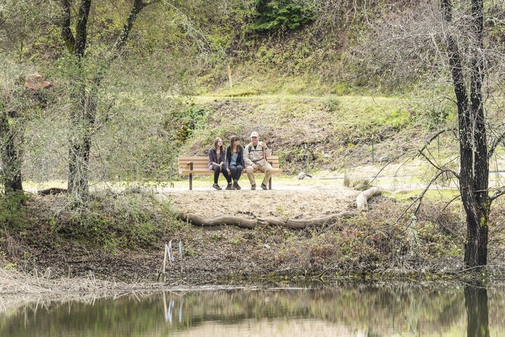 Los Gatos Creek Trail 3