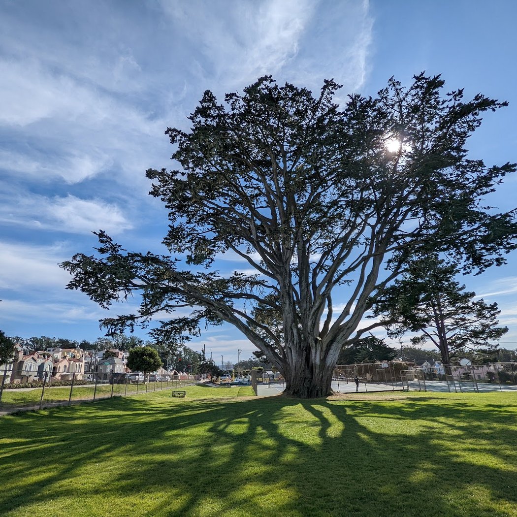 Carl Larsen Park 1