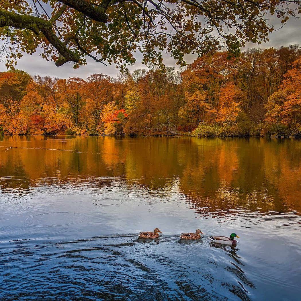 Avalon Nature Preserve 1