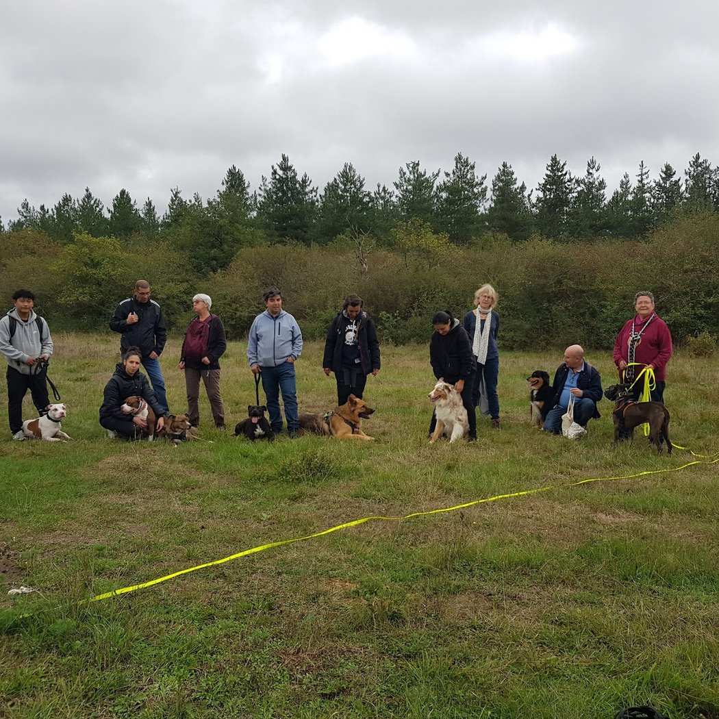 La meute d’Onyx – Educateur comportementaliste canin à Sartrouville et ses alentours 3