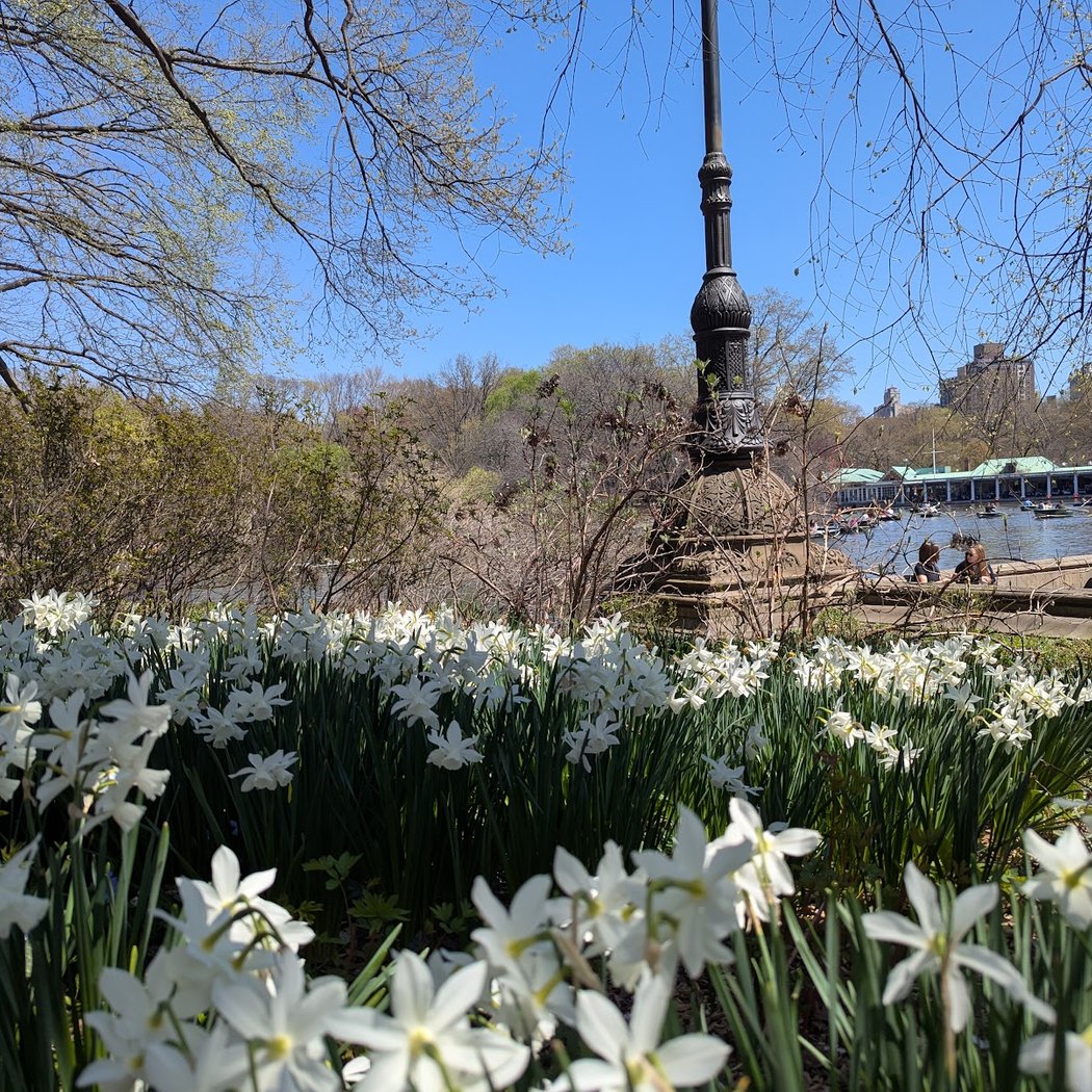 Central Park Boat House 1