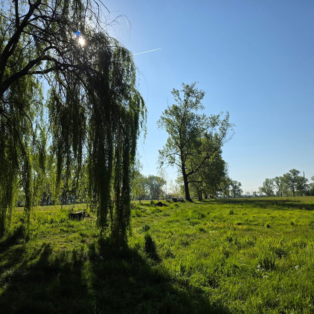 Parco Agricolo Ticinello 3
