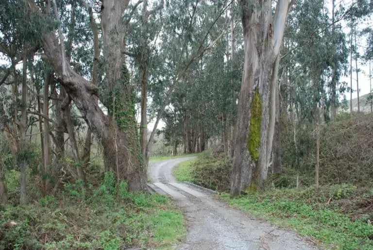 Burleigh H. Murray Ranch State Park 2