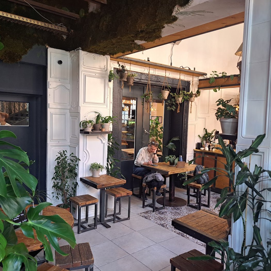 The Greens - Coffee & Plants 4