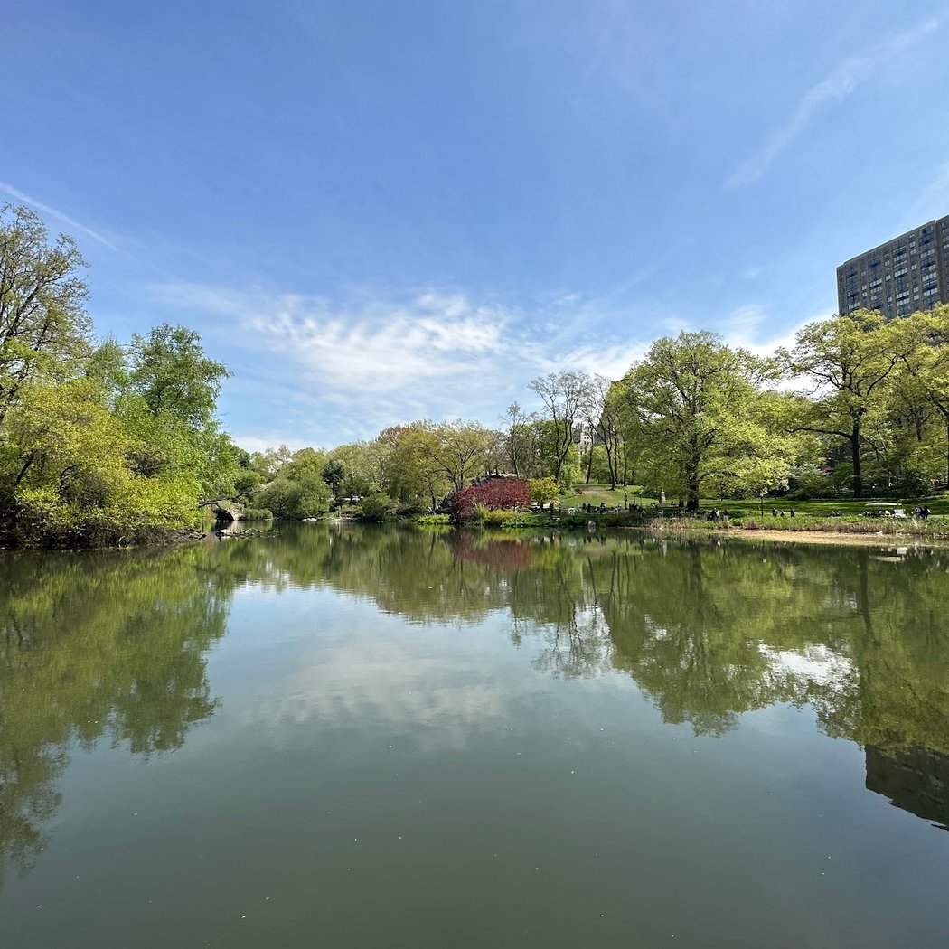 The Pond at Central Park 2