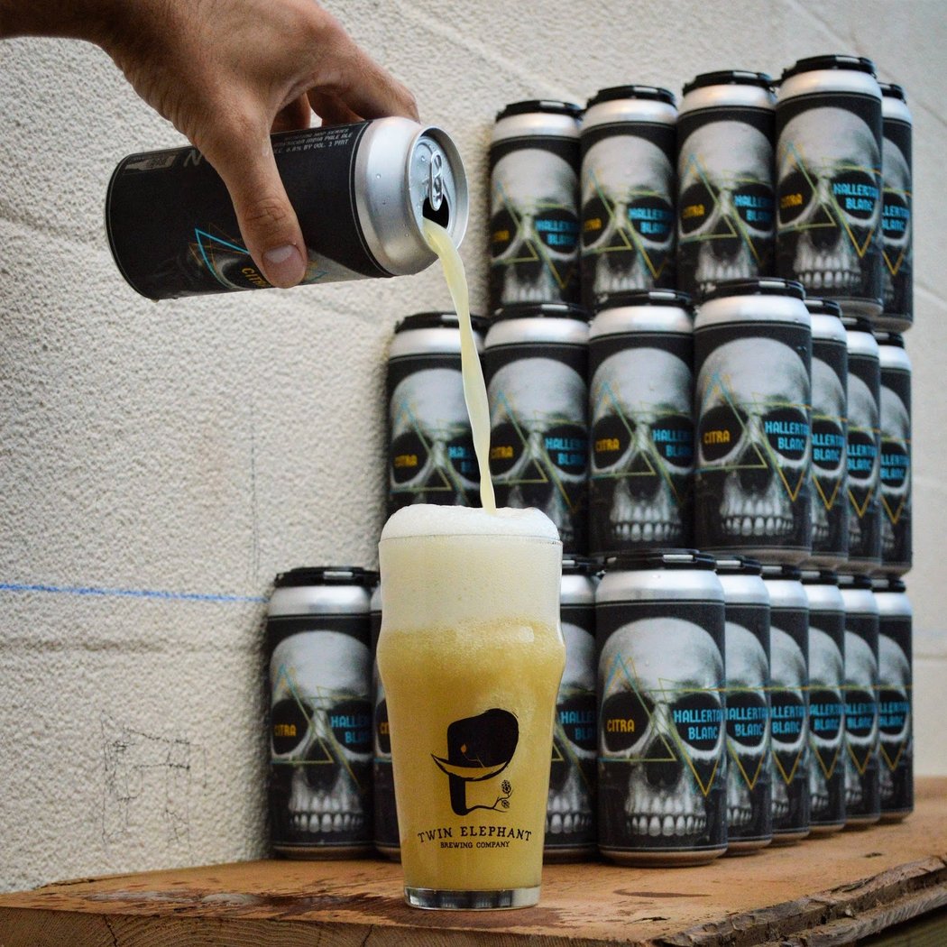 Twin Elephant Brewing Company 1