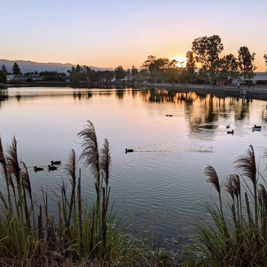 Los Gatos Creek County Park 1