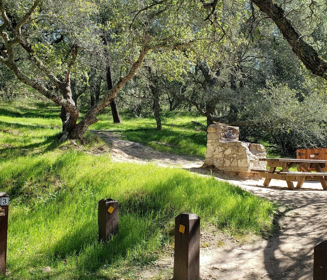 Live Oak Campground 1