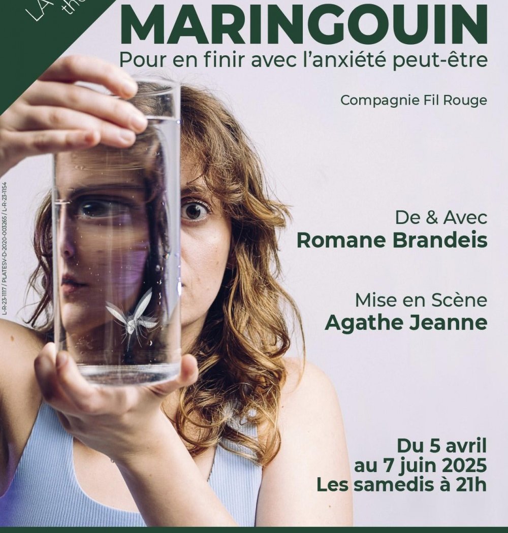 Maringouin - Pour en finir avec l'anxiété peut-être 1