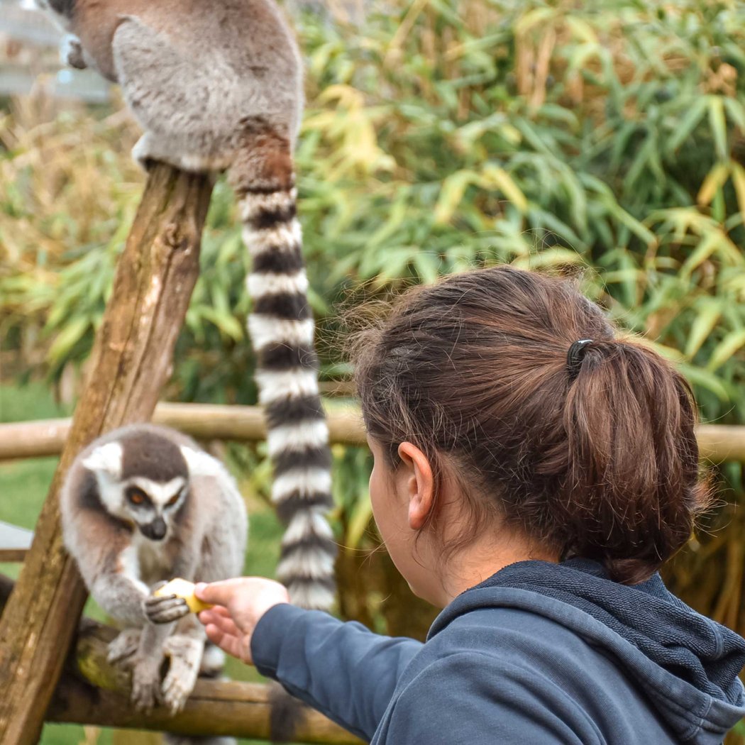 Zoo de Bordeaux-Pessac 3