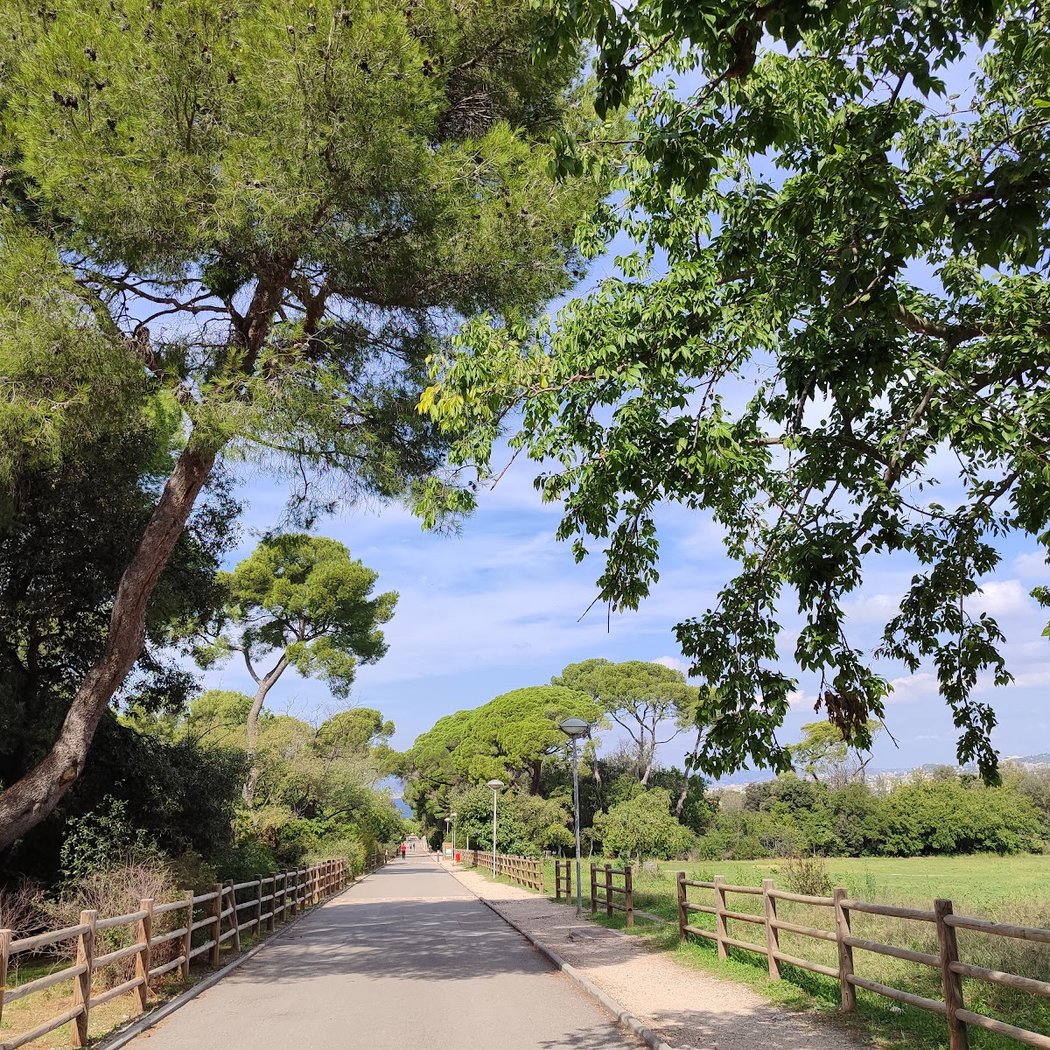 City Nature Challenge 3