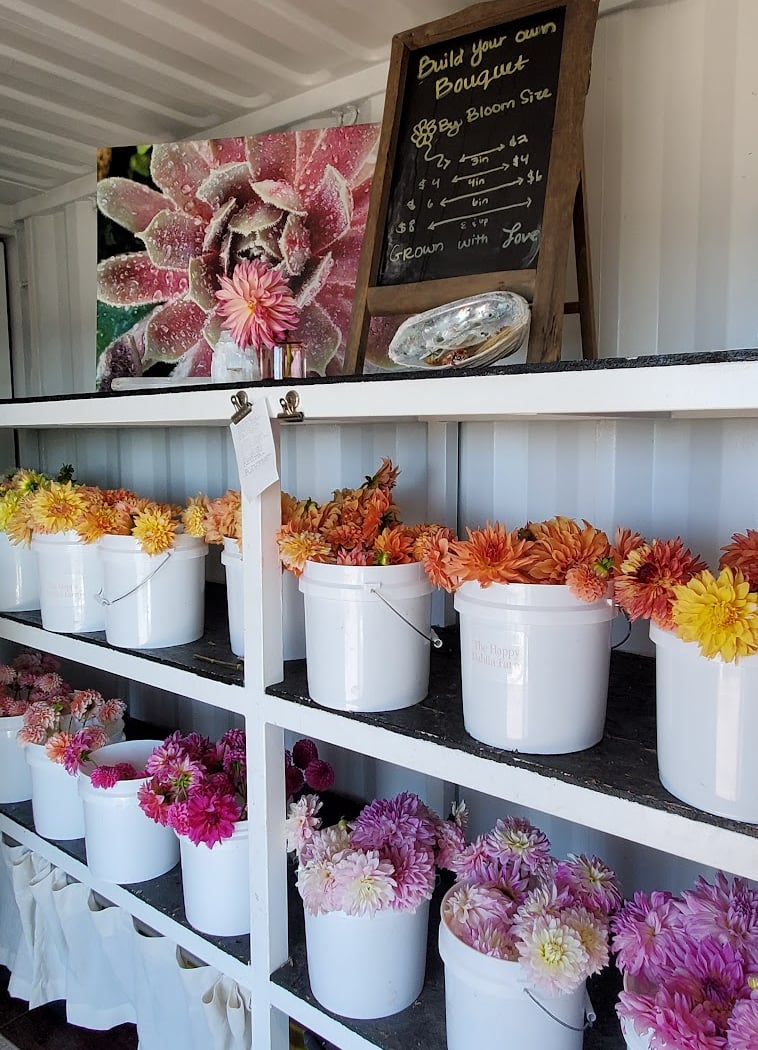 The Happy Dahlia Farm | With Love and Flowers 2