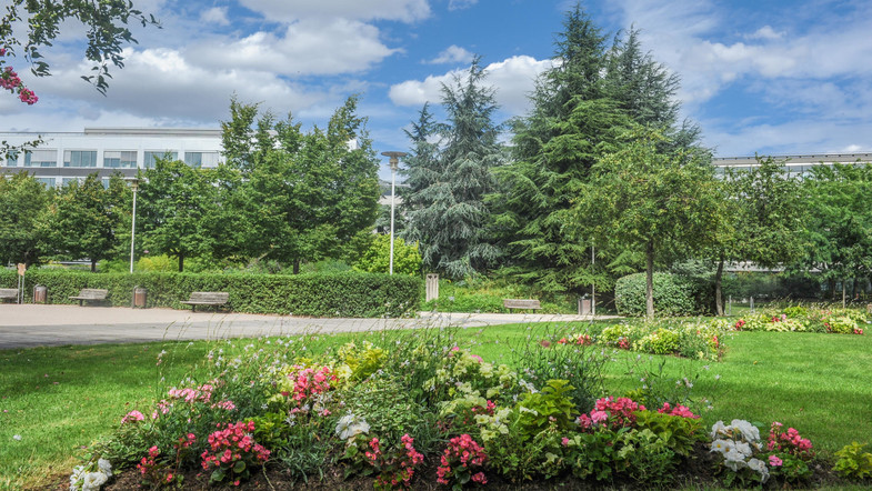 Parc Mozart 1