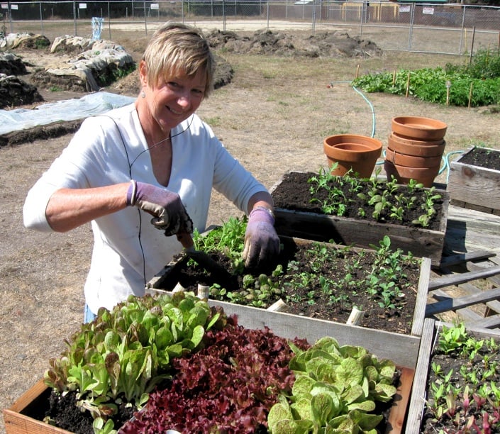 Veggie, Herb & Flower Starts Sale 2