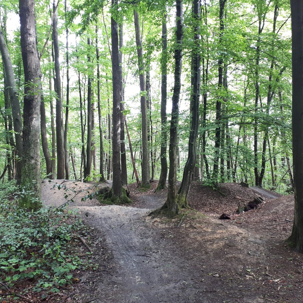 Spot for mountain biking 1