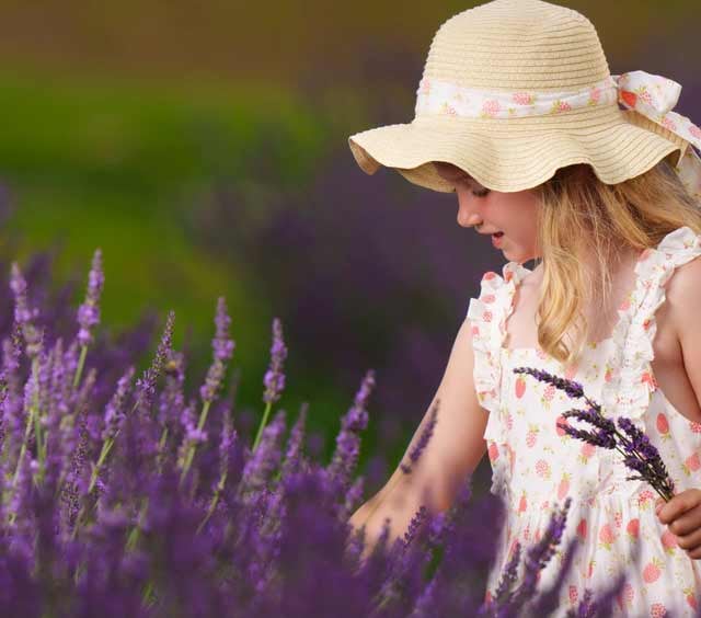 U-Pick Flowers 1