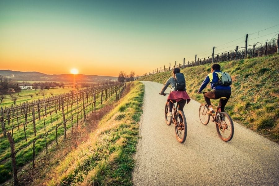 Sonoma Valley Bike Tours & Rentals 2