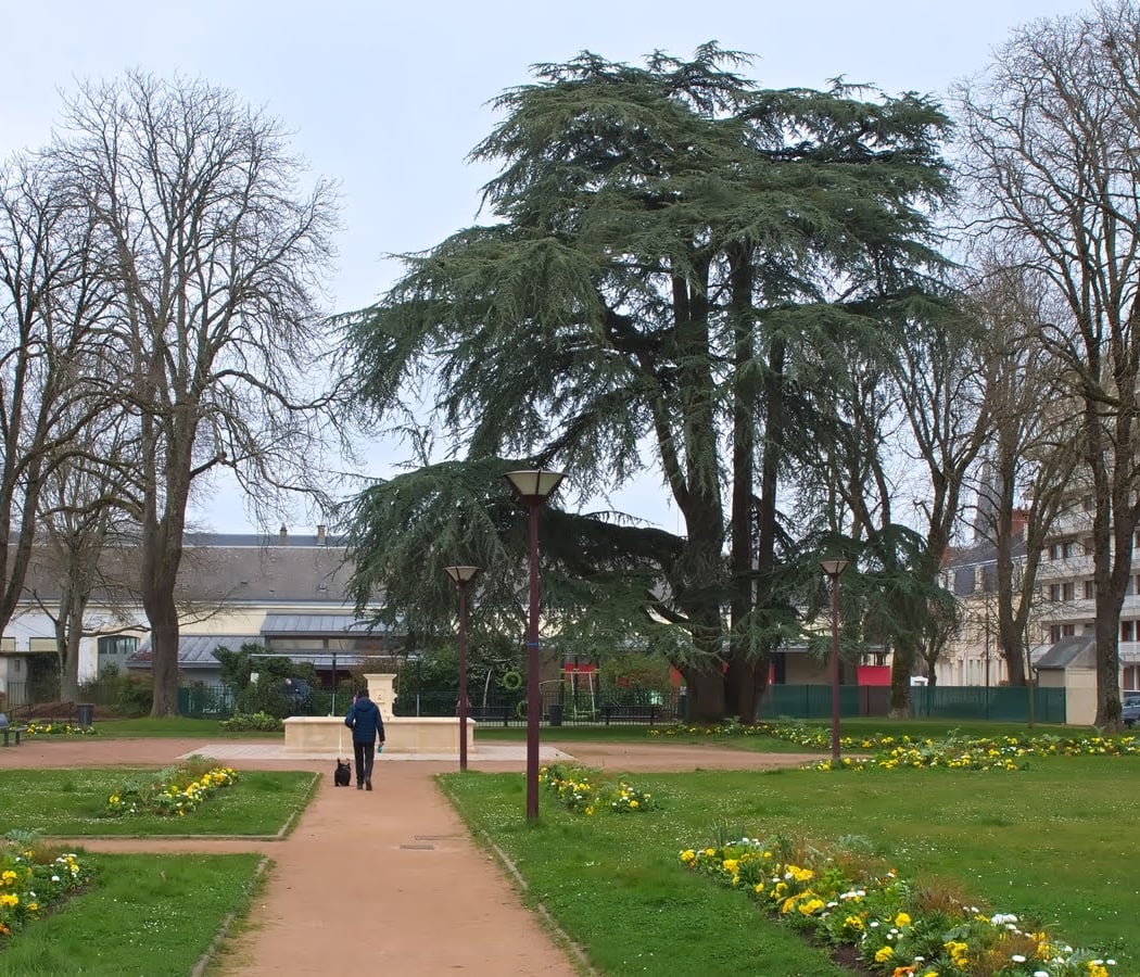 Parc De Jeu Jardin Des Capucins 2