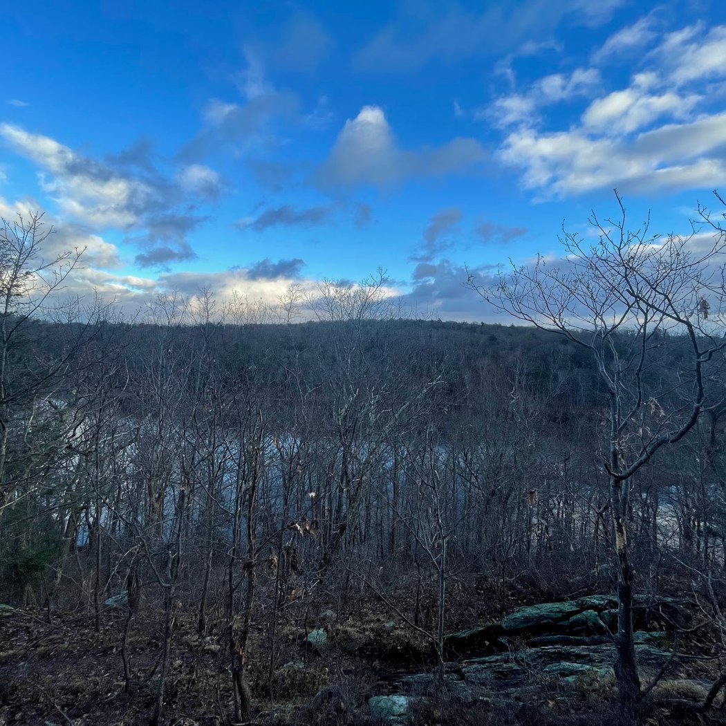 Canopus Lake Beach 3