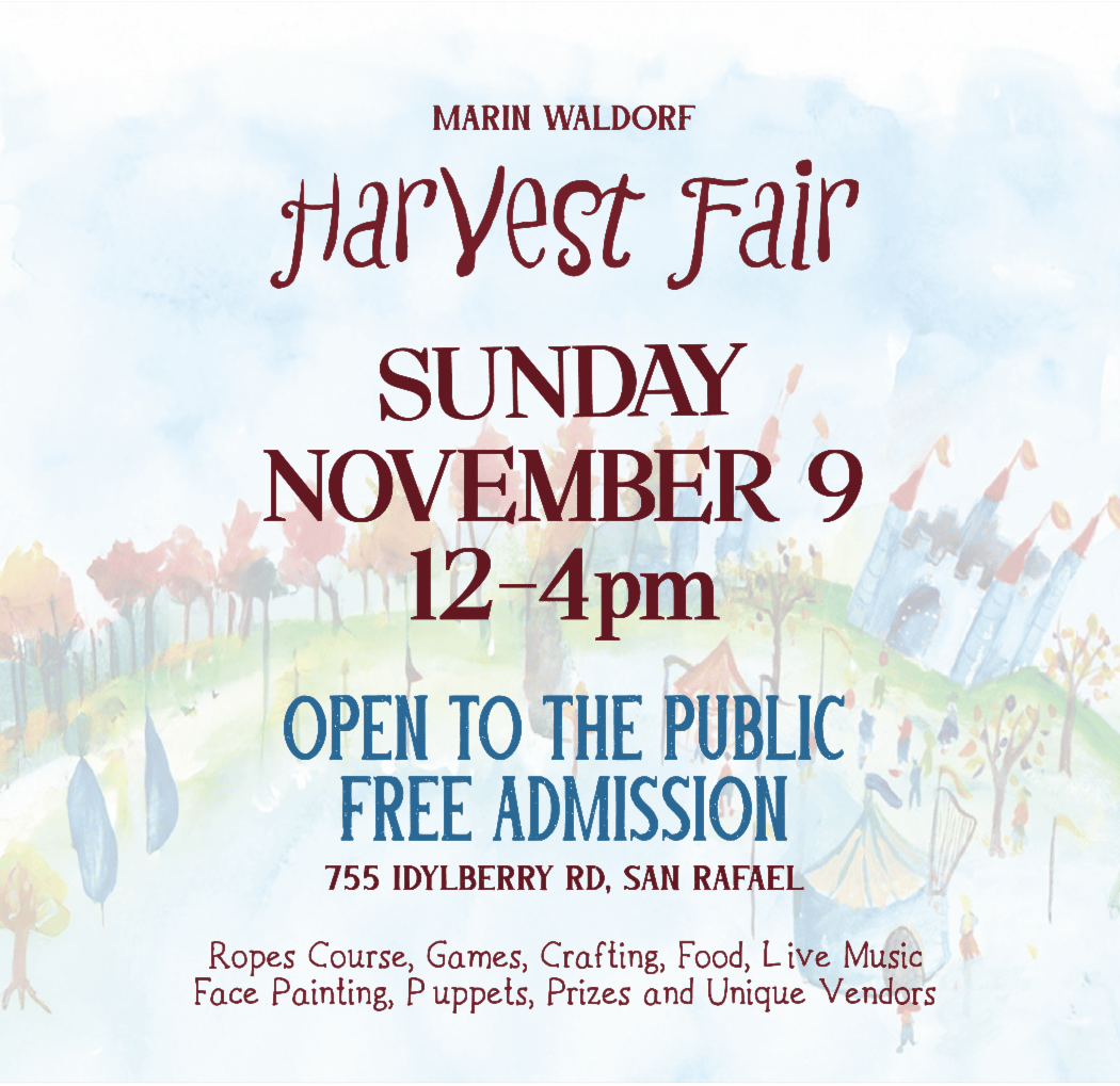 Marin Waldorf Harvest Fair 1
