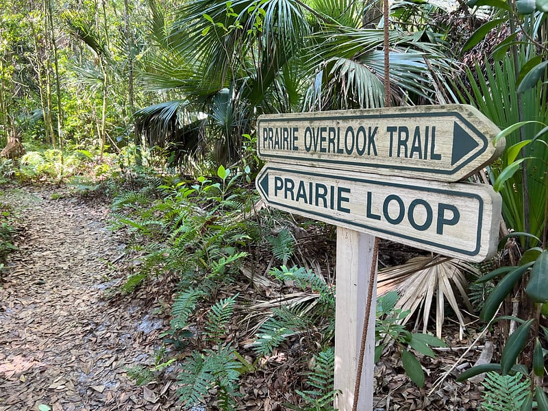 Guided Nature Walk 2
