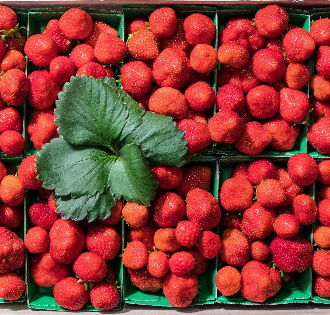 MiN Nantes Métropole (Marché d'Intérêt National) 1