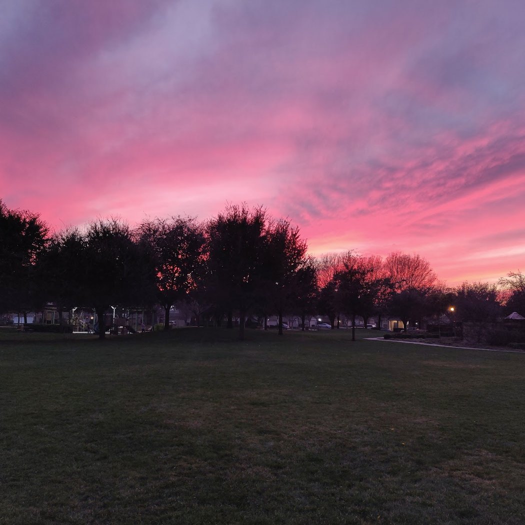 Walnut Park 1