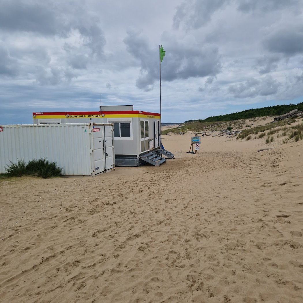 Violons sur le Sable 4