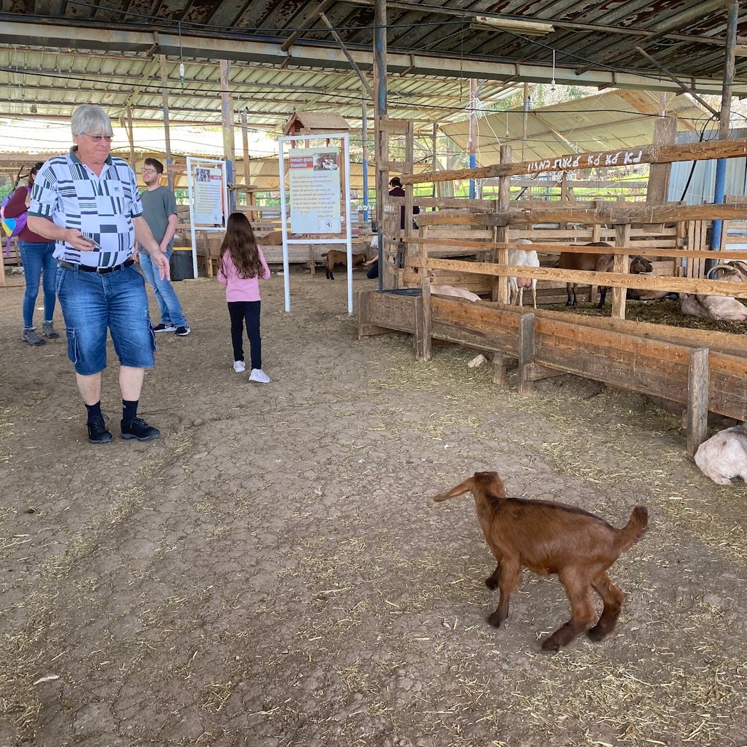 Cheesemaking workshops 2