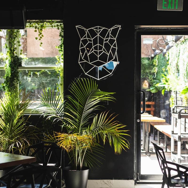 Jaguar Cafe Bistro Bar 2