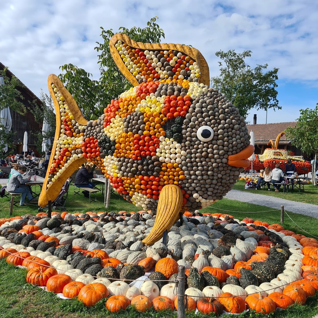 Jucker Farm Pumpkin Exhibition 1