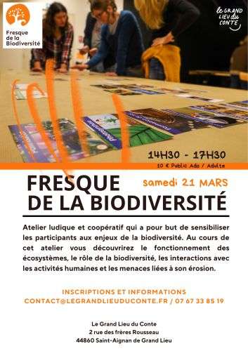 Fresque de la biodiversité 1