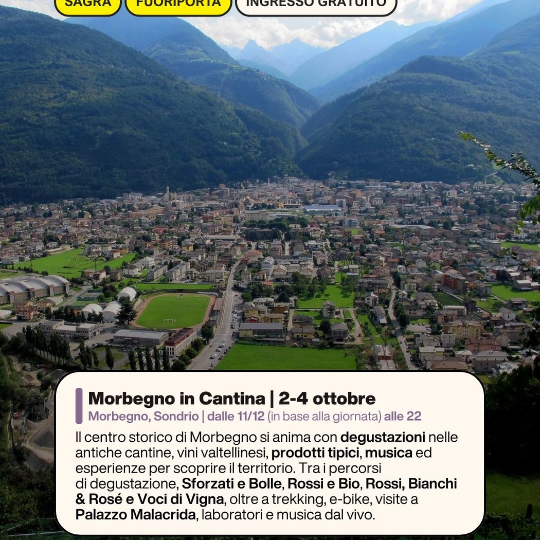 Morbegno in Cantina 1