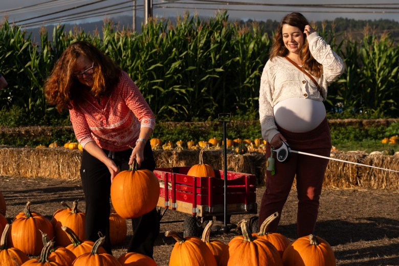 Farmer John's Pumpkin Farm 2