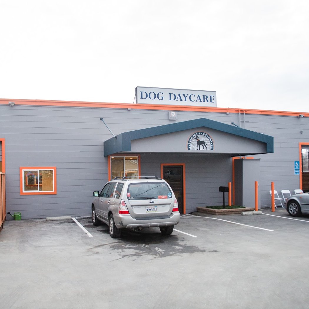 We Dog Care 2