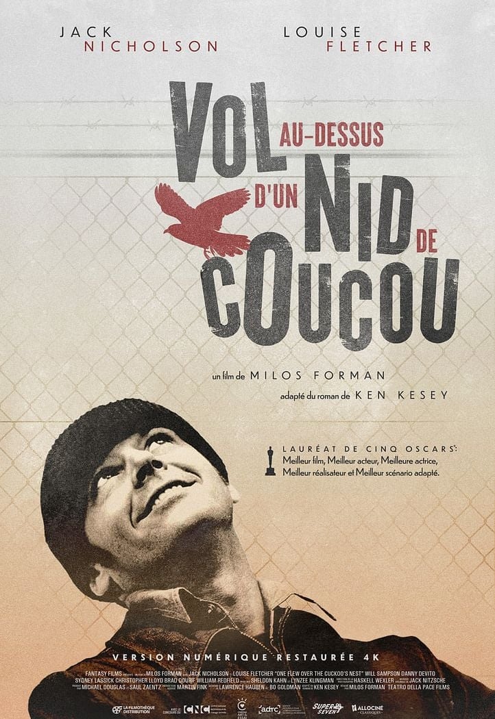 Vol au-dessus d'un nid de coucou