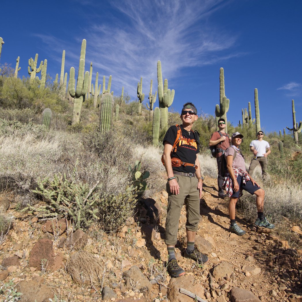 Scottsdale Desert Classic Guided Hiking Adventure 1